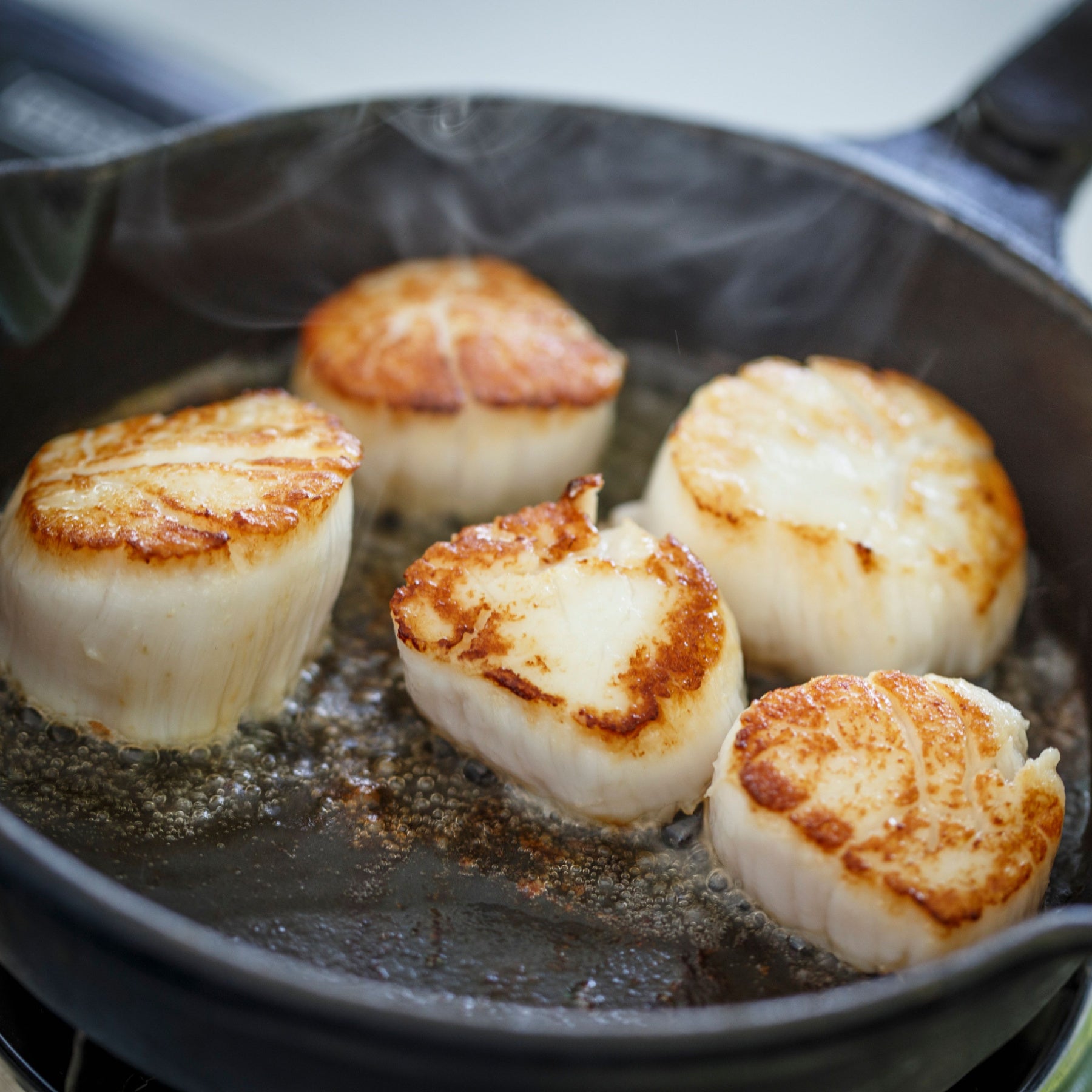 Fresh Sea Scallops for Sale Nationwide Delivery Crabs To You