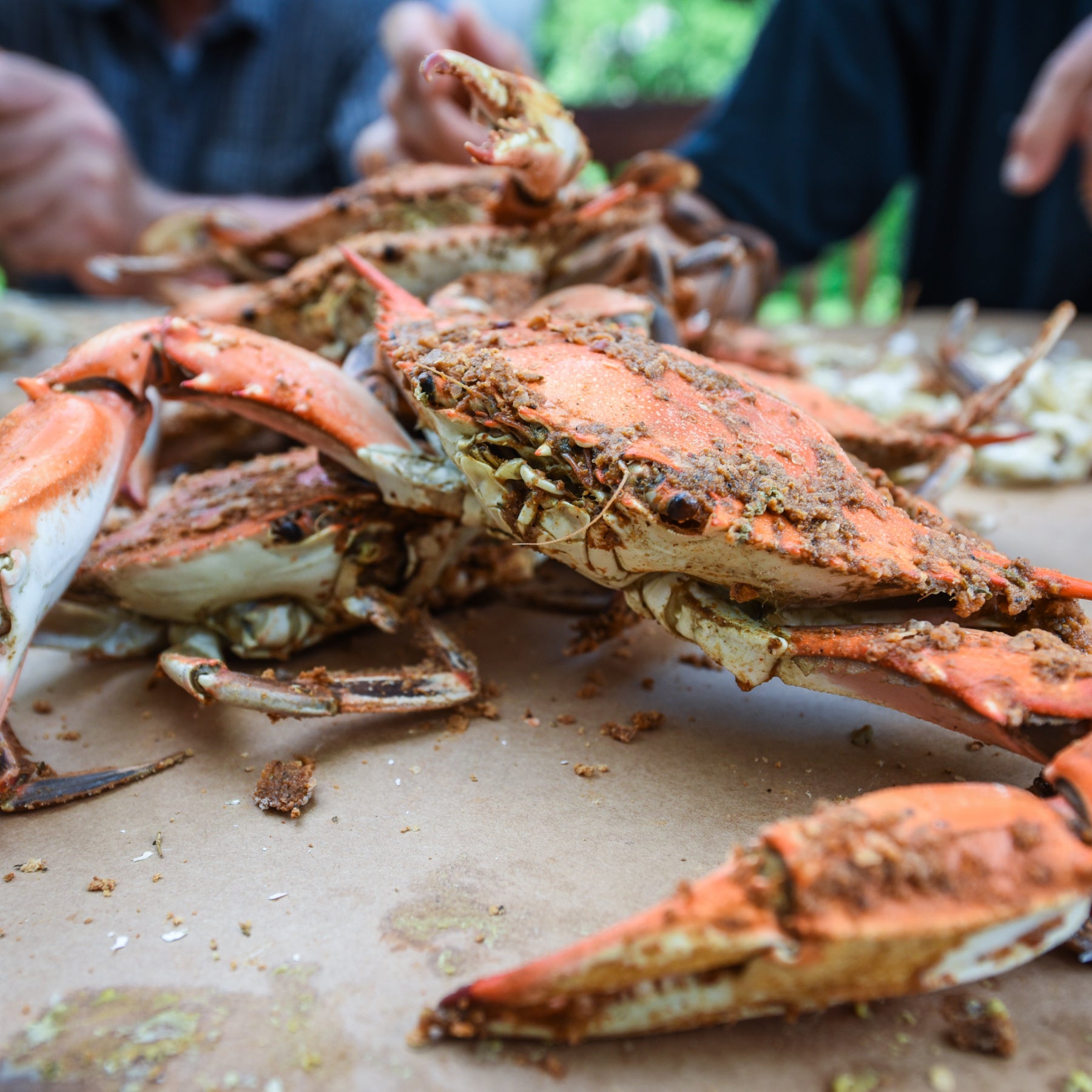 Premium Jumbo Male Crabs