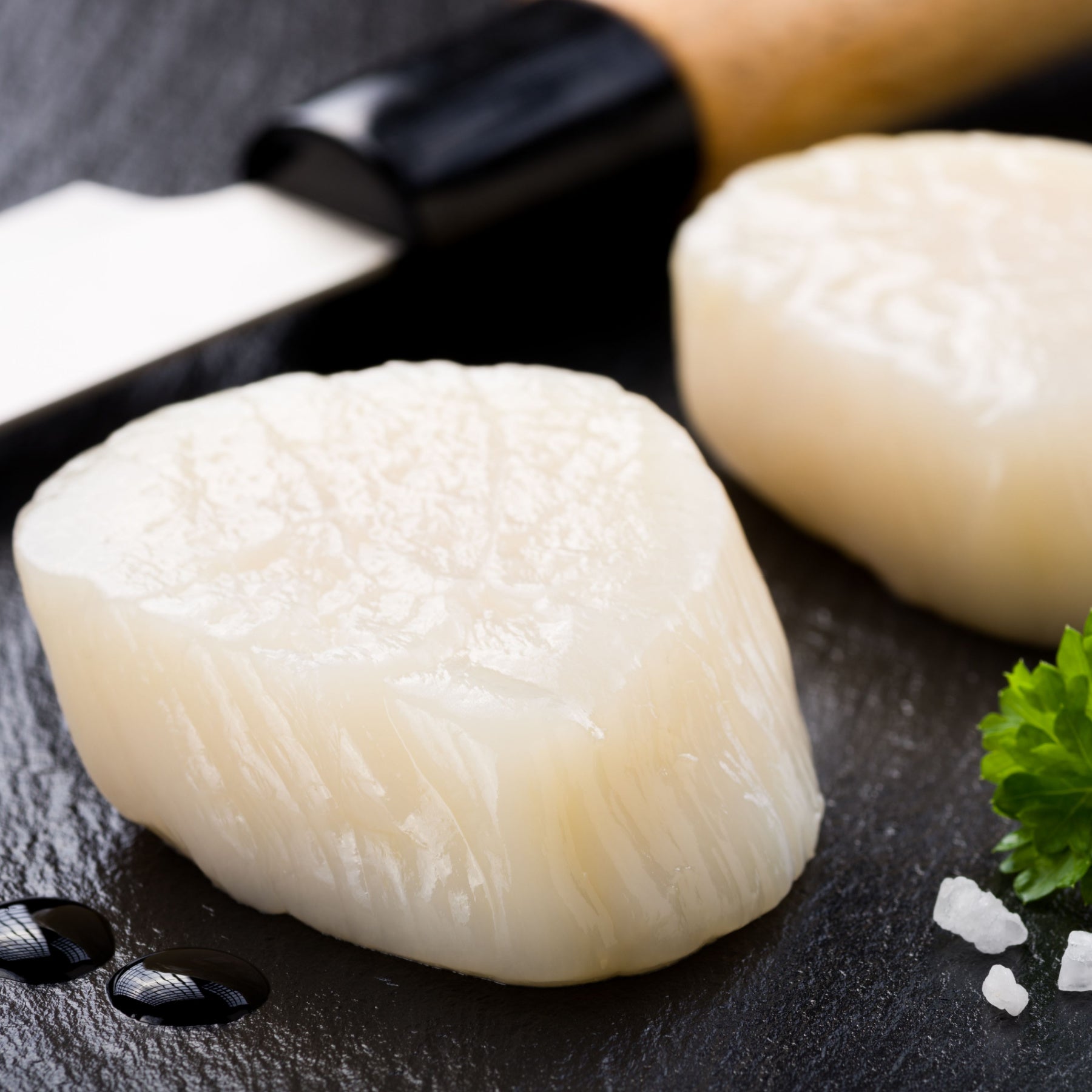 Sea Scallops