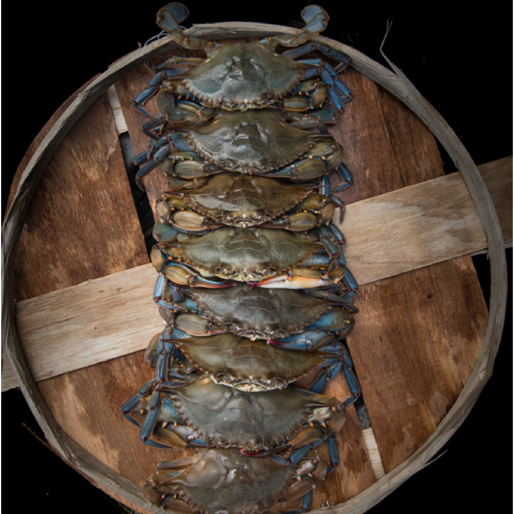 Prime Soft Crabs